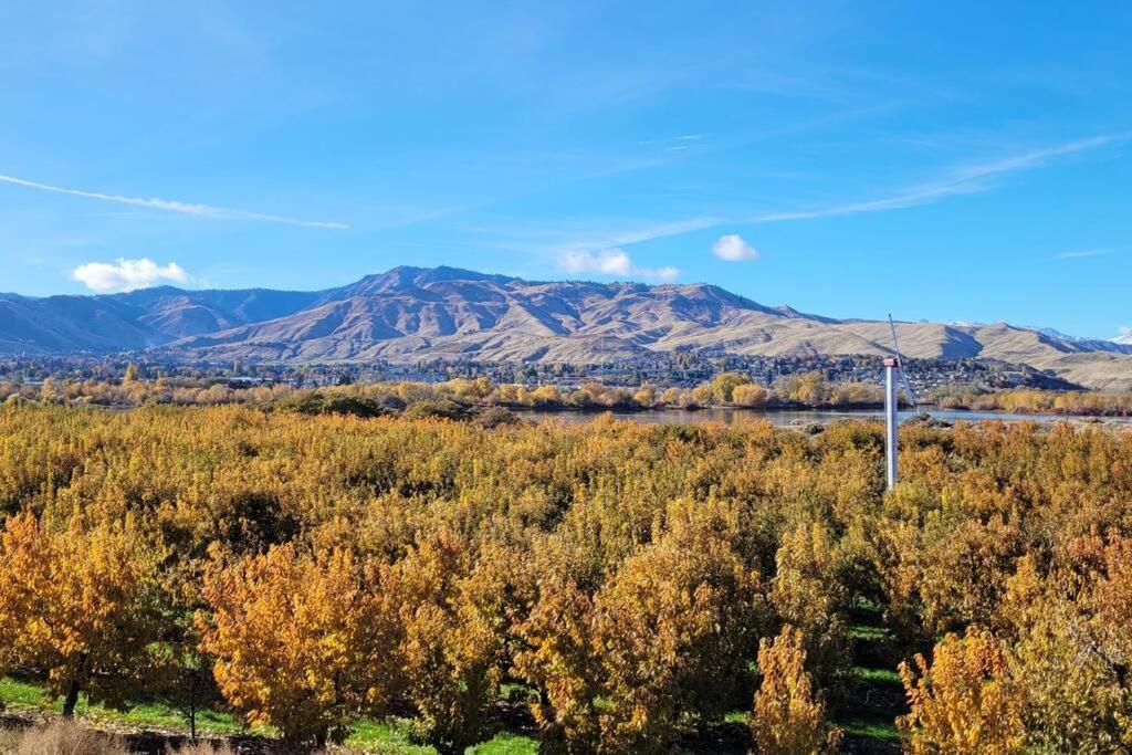 Immaculate W/ Mtn And River Views! Apartment